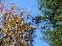 Fall
